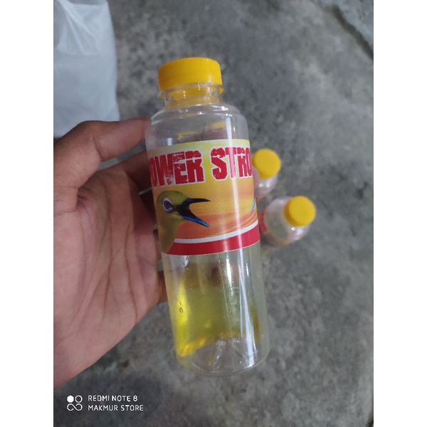 doping burung pleci kolibri doping burung sogon doping burung pleci