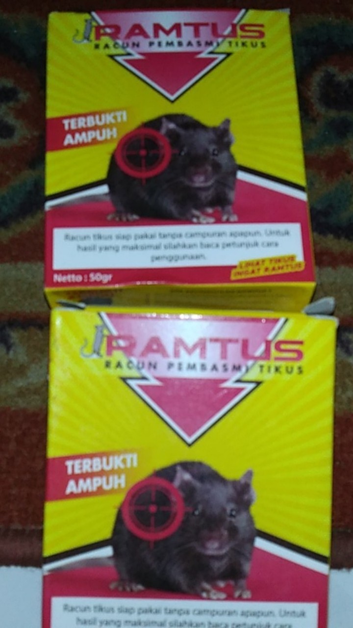 Ramtus Racun Tikus Ampuh Mati Kering Tidak Bau Pembasmi Curut Wirog Mencit Dirumah Di Mobil 6 Pack