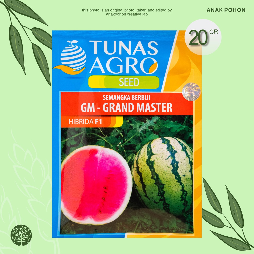 (1 PACK) Benih Semangka Grand Master Lorek Bulat Merah Berbiji Hibrida F1 Seeds - Tunas Agro Seed - 20 GRAM