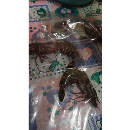 

Udang Windu