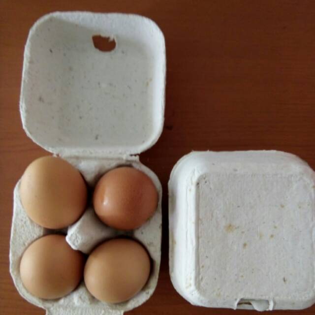 Egg box karton 4 butir