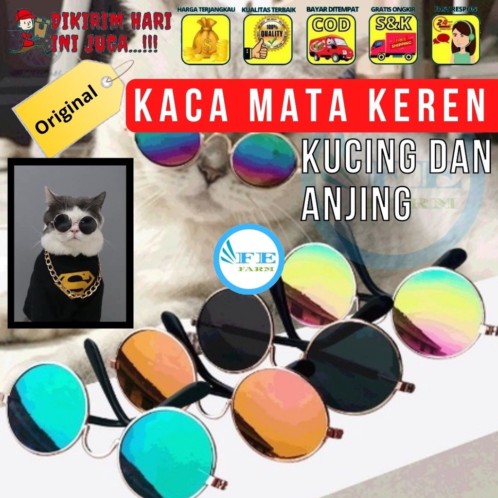 Kacamata Keren Untuk Aksesoris Properti Foto Anjing Dan Kucing Peliharaan FEFARM