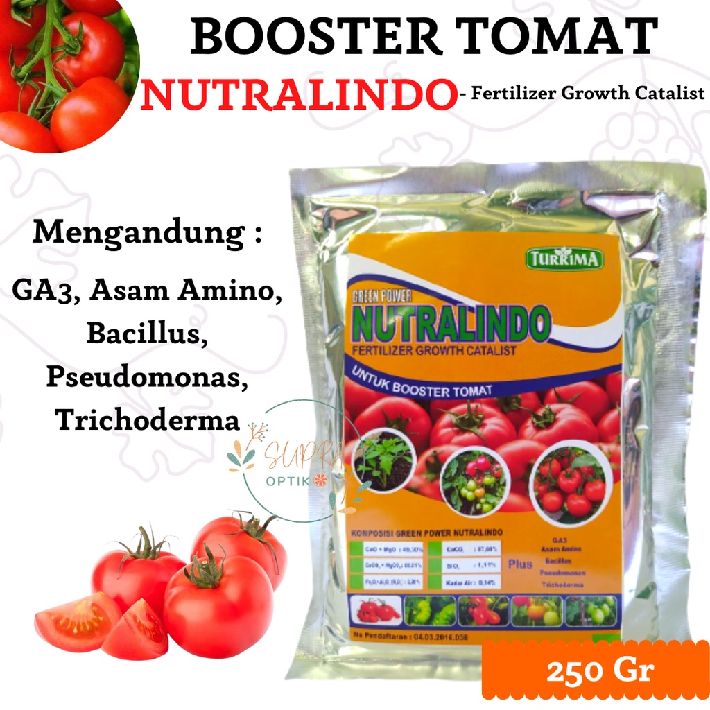 Jual Pupuk Tomat Cepat Berbuah, Pupuk Pelebat Buah Tomat Cherry