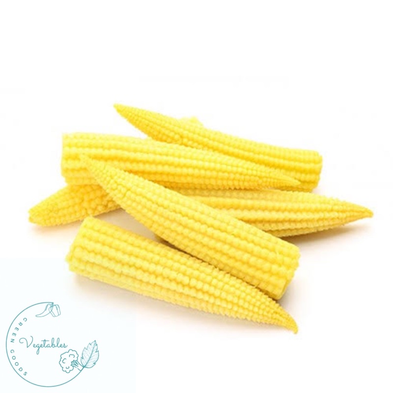 

BABY CORN/JAGUNG SEMI MURAH