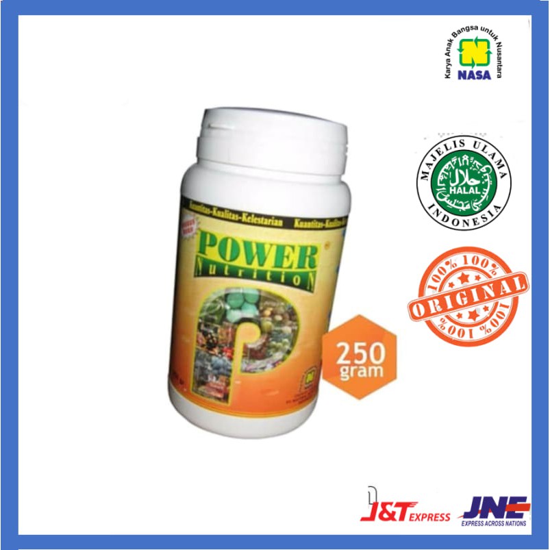 

POWER NUTRITION 250 GRAM RP 70000
