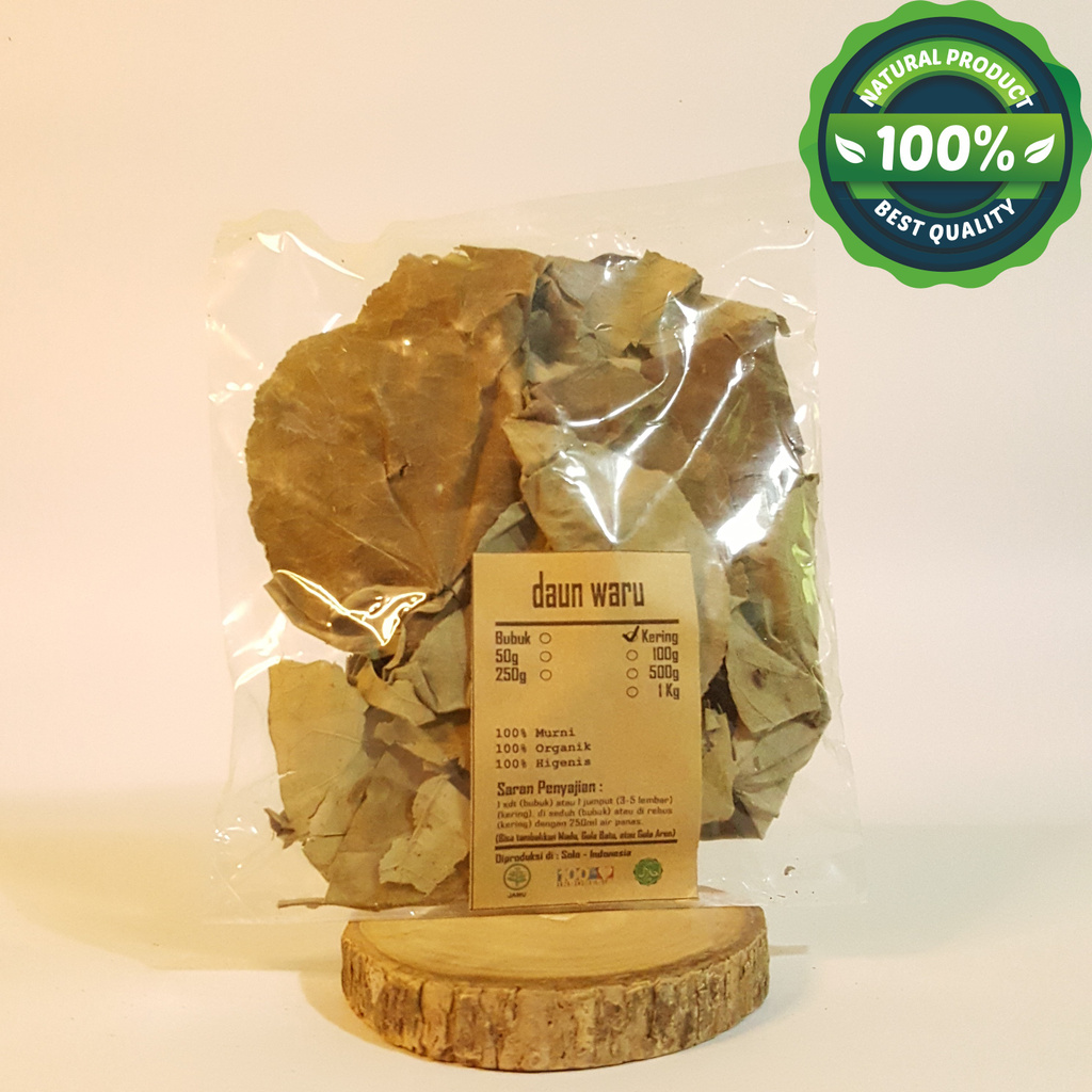 

DAUN WARU COASTAL COTTOOWOOD FANU BARU HARU KERING SIMPLISIA DRI