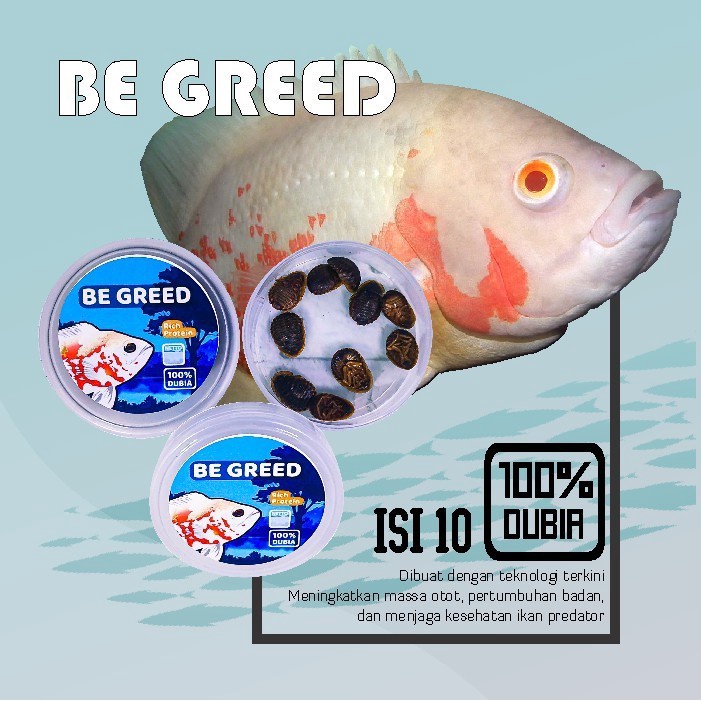 BE GREED KECOA DUBIA 10 Ekor - Pakan Makanan Ikan Predator dan Lainnya