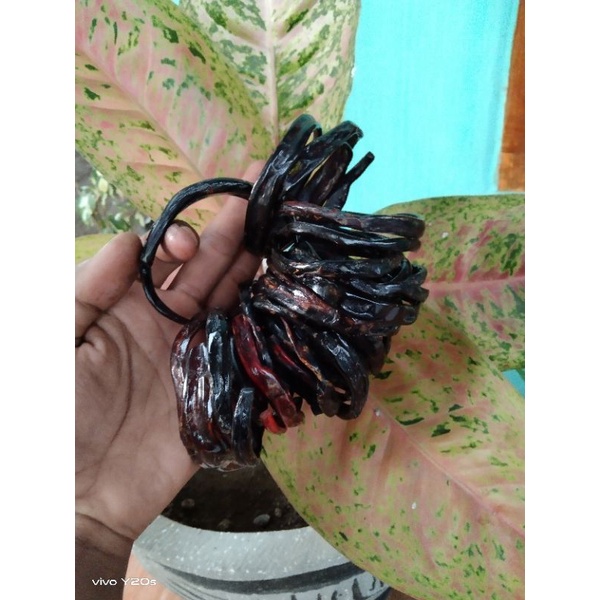 GELANG AKAR BAHAR MERAH BODY HITAM