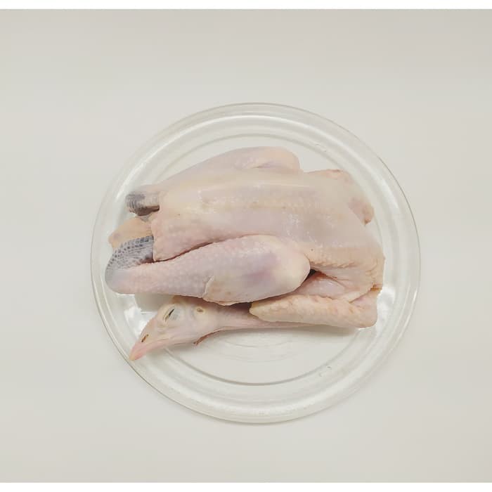 

AYAM KAMPUNG ASLI UKURAN LEBIH BESAR