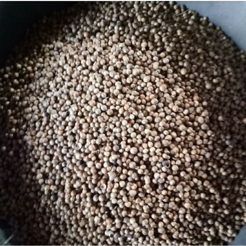 

Biji ketumbar/tumbar hitam premium 250gram.