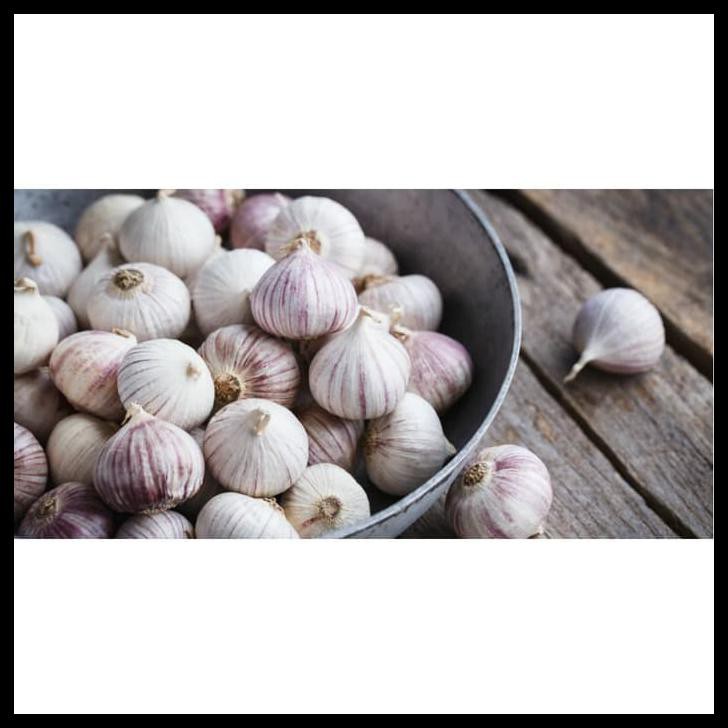 

BAWANG LANANG (BAWANG PUTIH TUNGGAL) OBAT KOLESTEROL DAN PENYAKIT LAIN