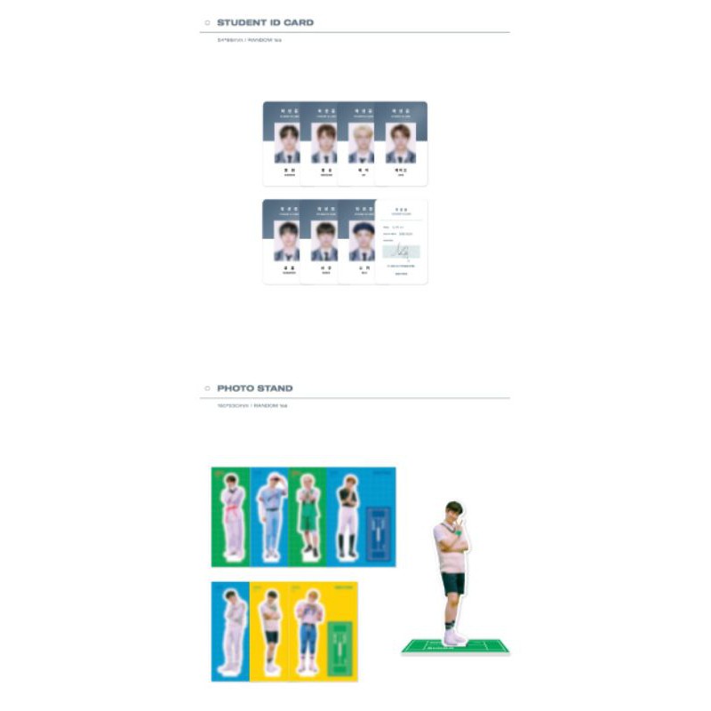 SG ENHYPEN STUDENT ID CARD