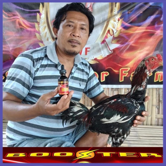 

✔ COD ✔ Best BOOSTER SUPLEMEN MULTIVITAMIN JAMU AYAM JUARA