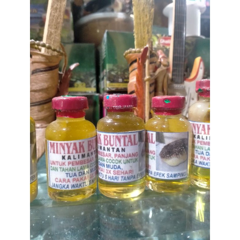 MINYAK BUNTAL (PEMBESAR)