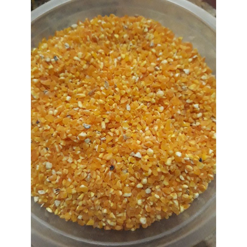 Beras Jagung 1kg untuk pakan hamster atau hewan lainnya