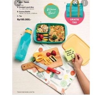 cool teen Tupperware/ tempat makan set Tupperware