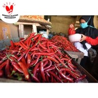 

Sayur - Cabai Merah Besar