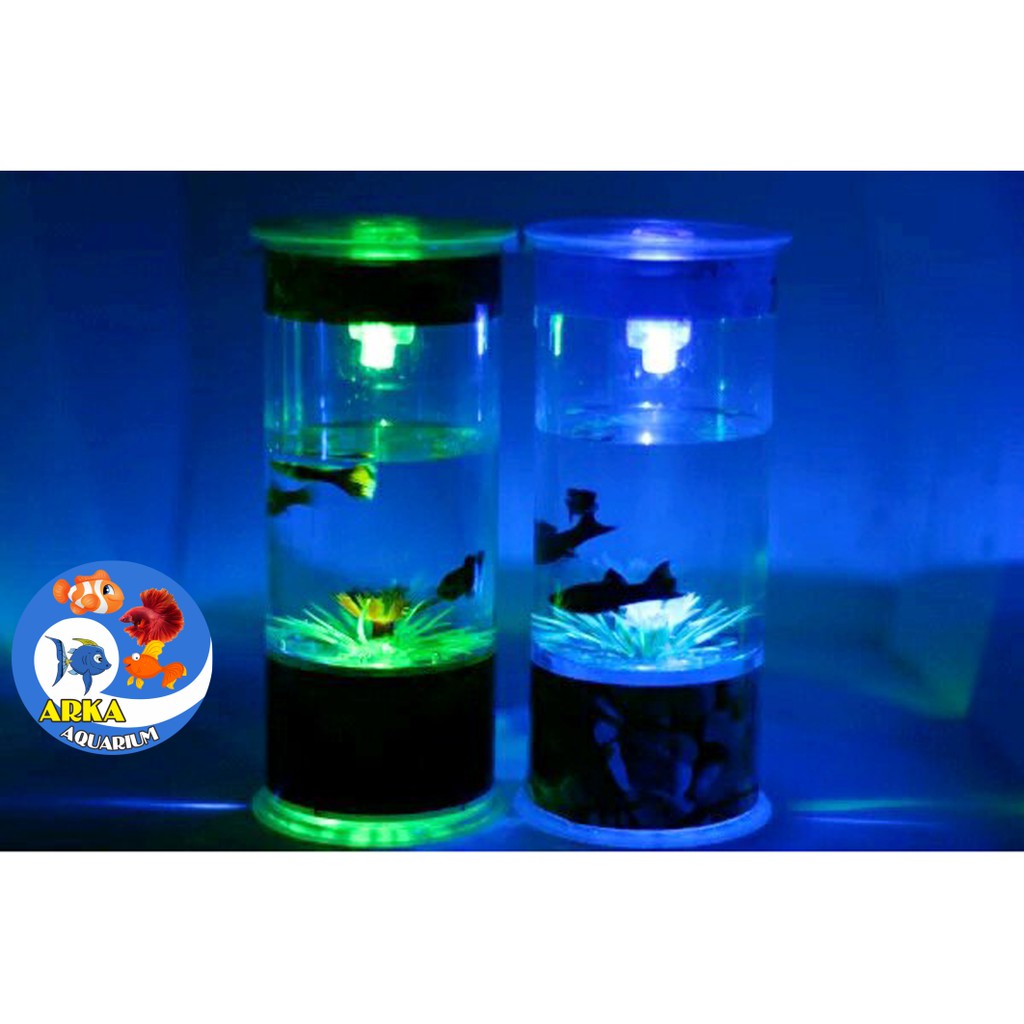 43 Koleksi Aquarium Cupang Shopee Terbaik