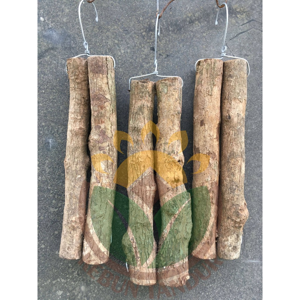 Kayu Laban / Jati Double Media Tanam Anggrek bukan Kayu Kopi