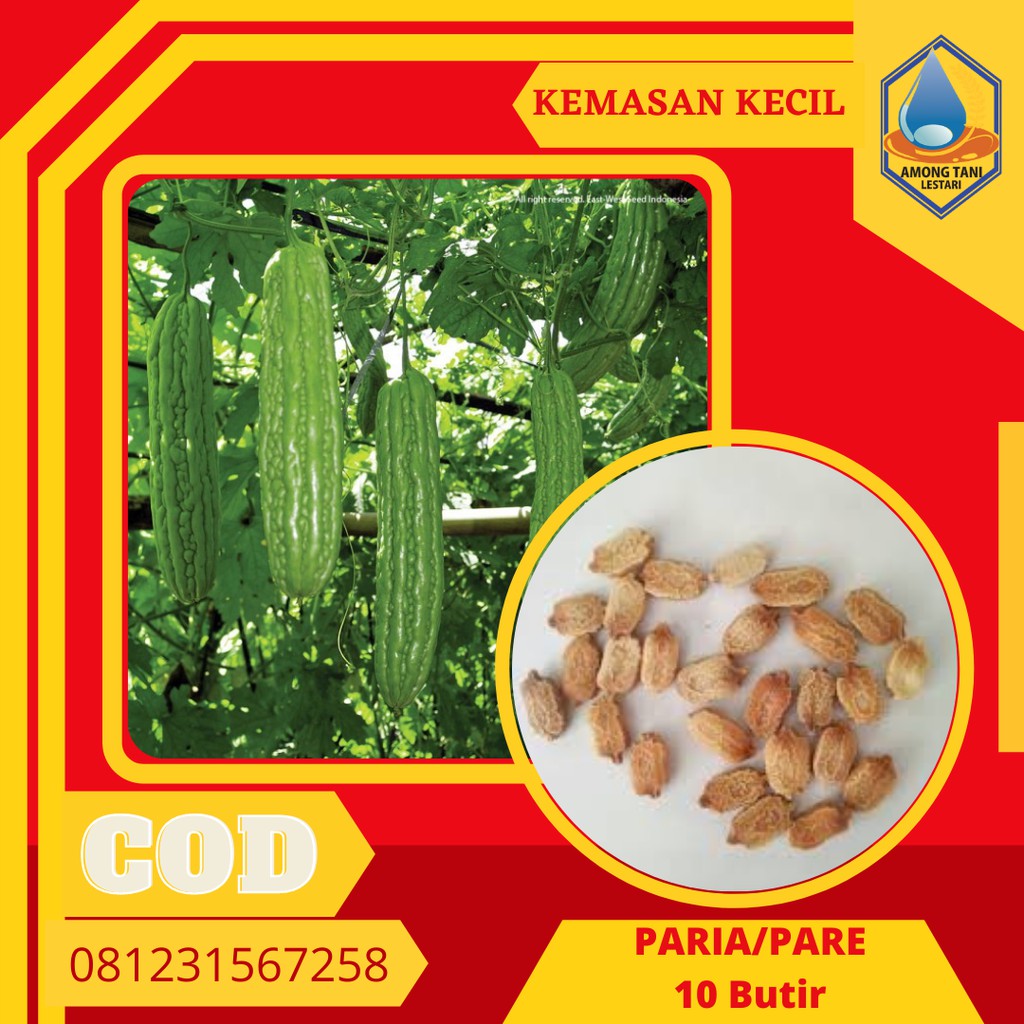 10 Benih Sayur Paria Bibit Sayuran Pare  Hidroponik Eceran Seribuan