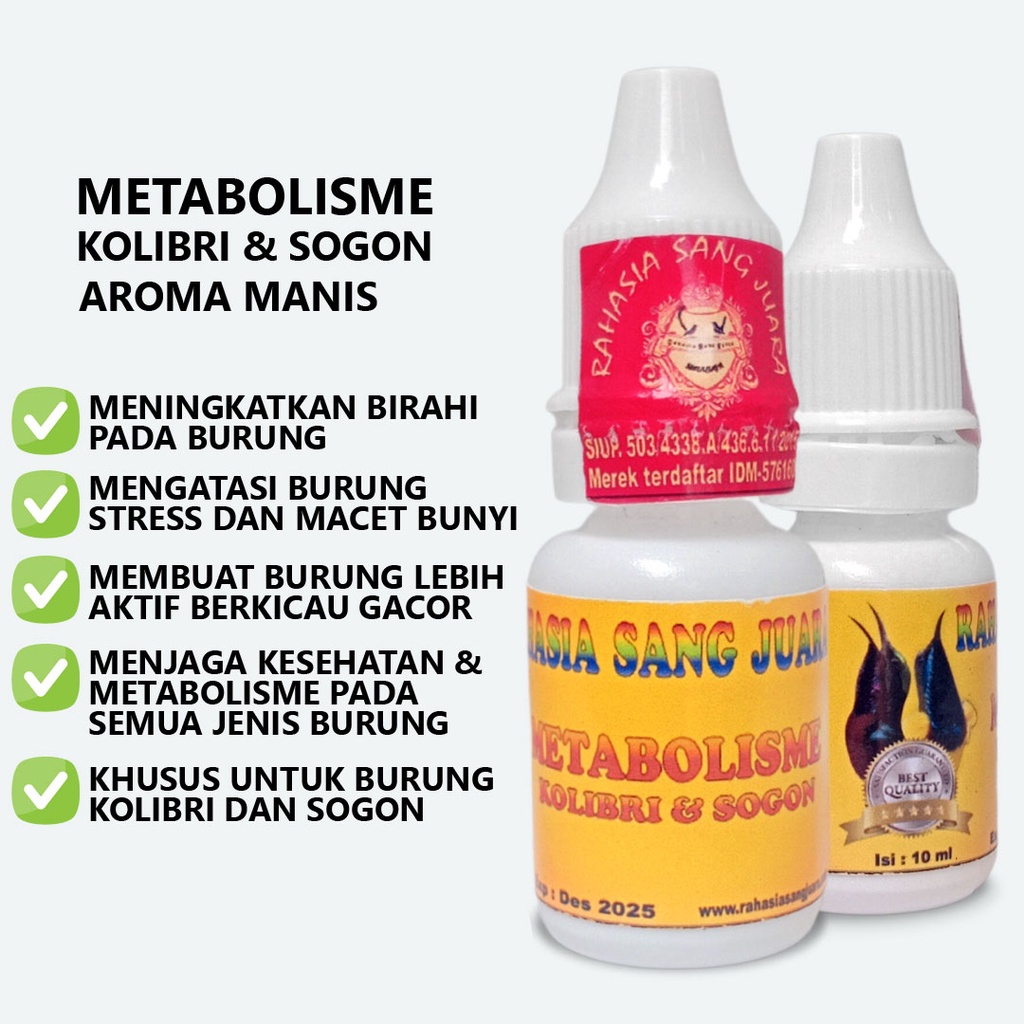 METABOLISME KOLIBRI DAN SOGON | VITAMIN METABOLISME BURUNG KOLIBRI DAN SOGON