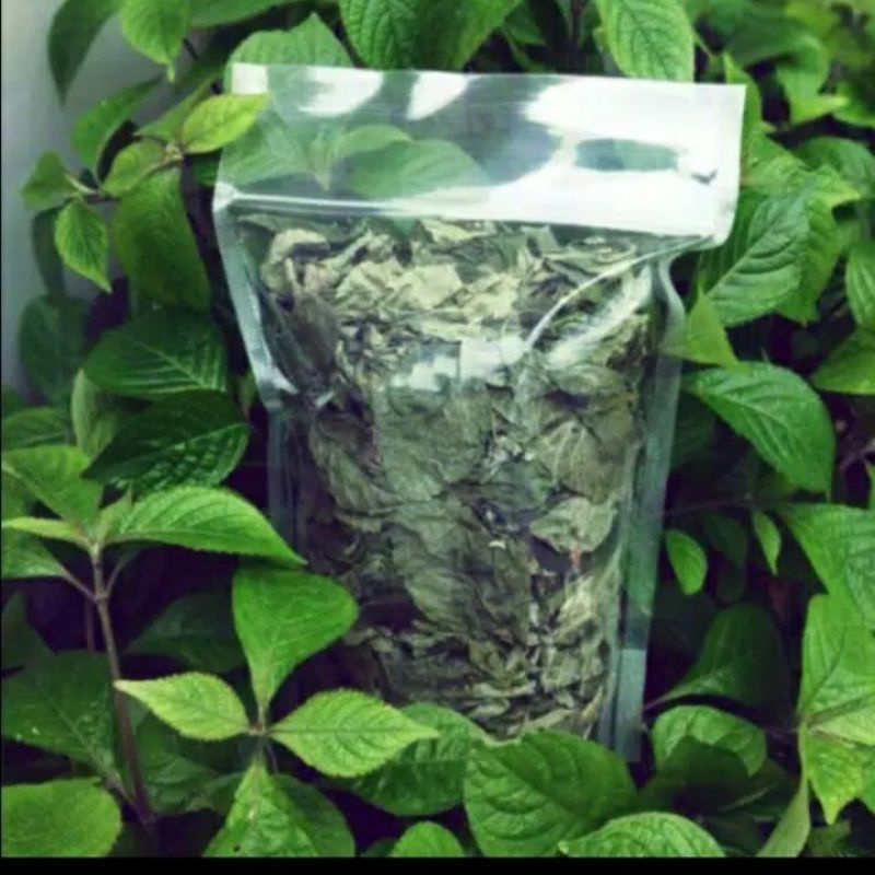 

Daun kijibeling pecah beling segar 500gr murah