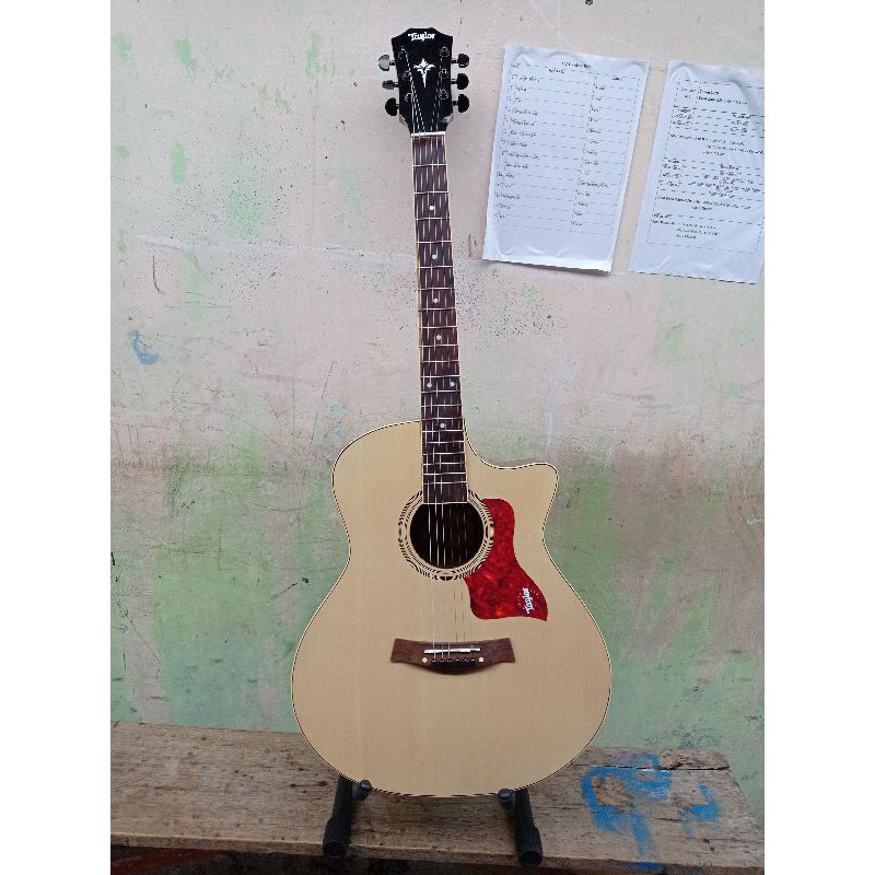 gitar taylor akustik new