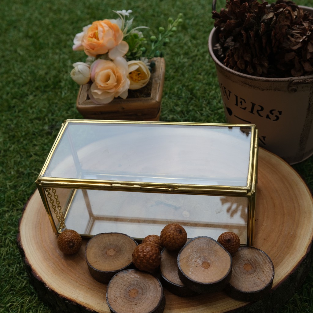 GLASS BOX | KOTAK UANG | TERARIUM KOTAK PANJANG