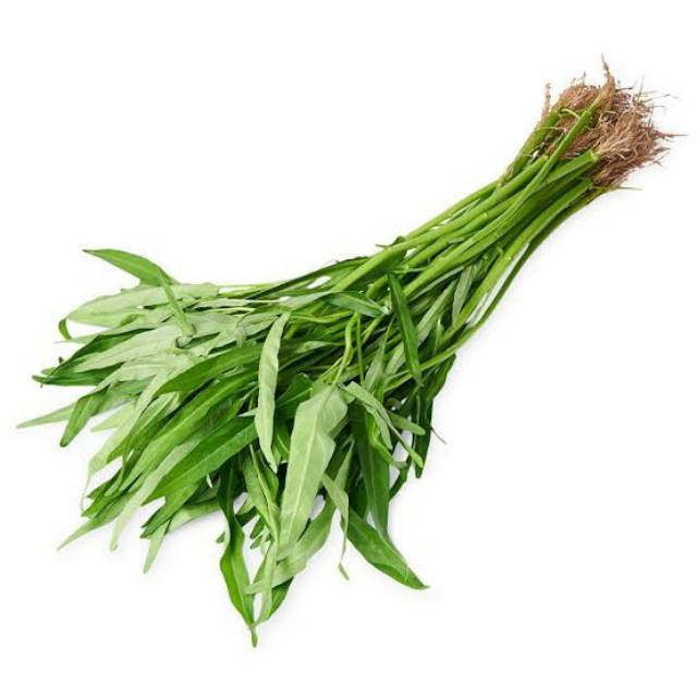 

Sayur Family - Kangkung