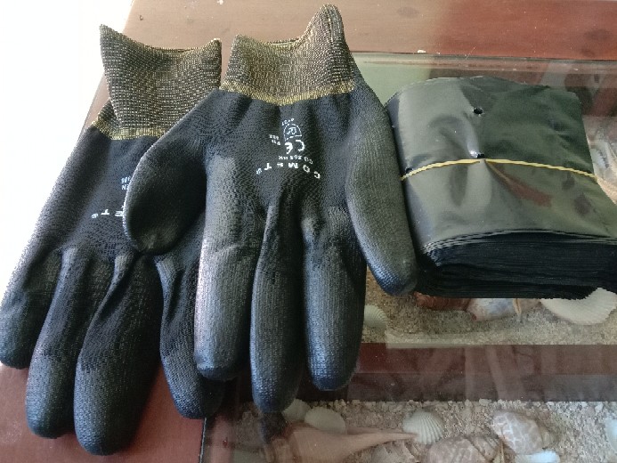 Polybag / Polibek Semai Ukuran 20 X 20 / 20x20 ( +/- 250 Gram ) - 7001