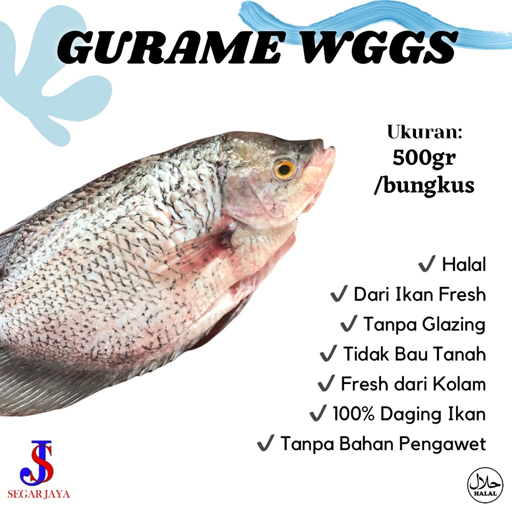 

Ikan Gurame WGGS Siangin Fresh Segar SIAP MASAK