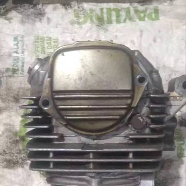 kop tiger