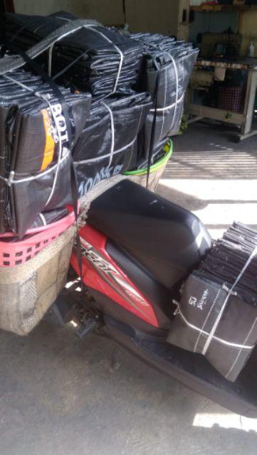 Benih Kemangi Pack 800 Biji - Gp
