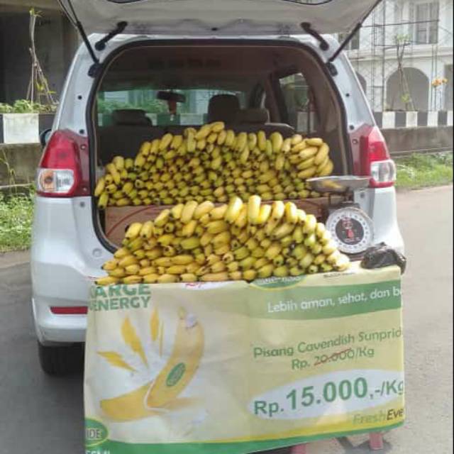 

Pisang sunpride cavendish