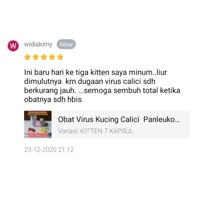 Obat Virus Kucing Calici  Panleukopenia Distemper Paling Ampuh Antivirus Cat