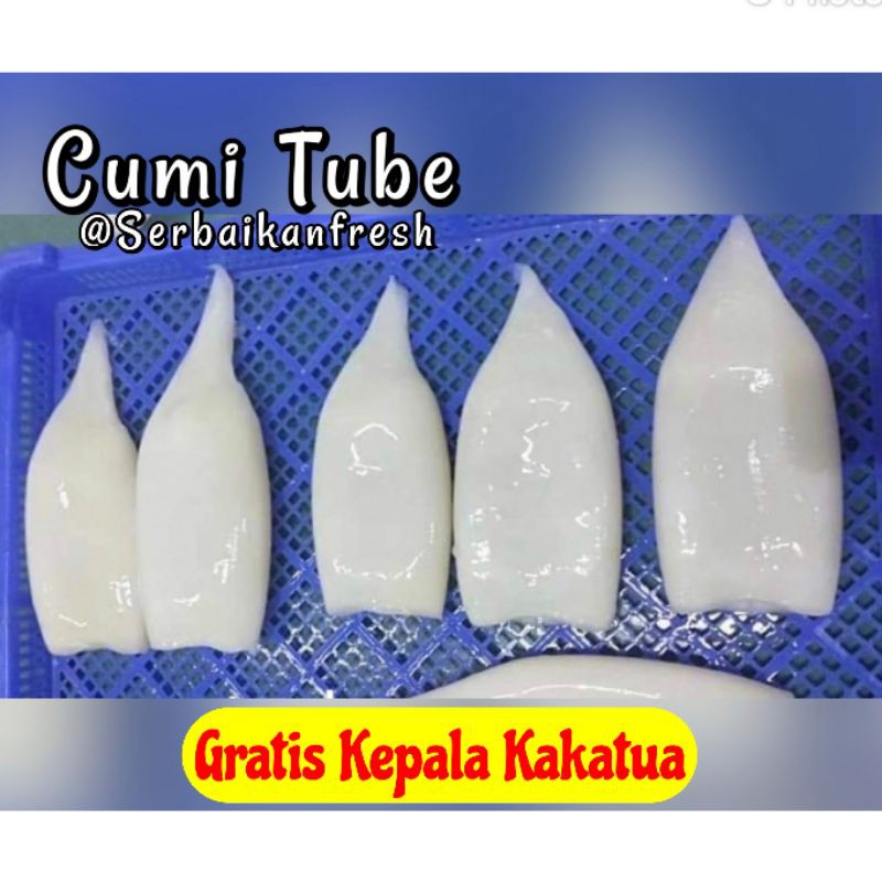 

CUMI TUB BEKU FRESH 1KG (SIP)