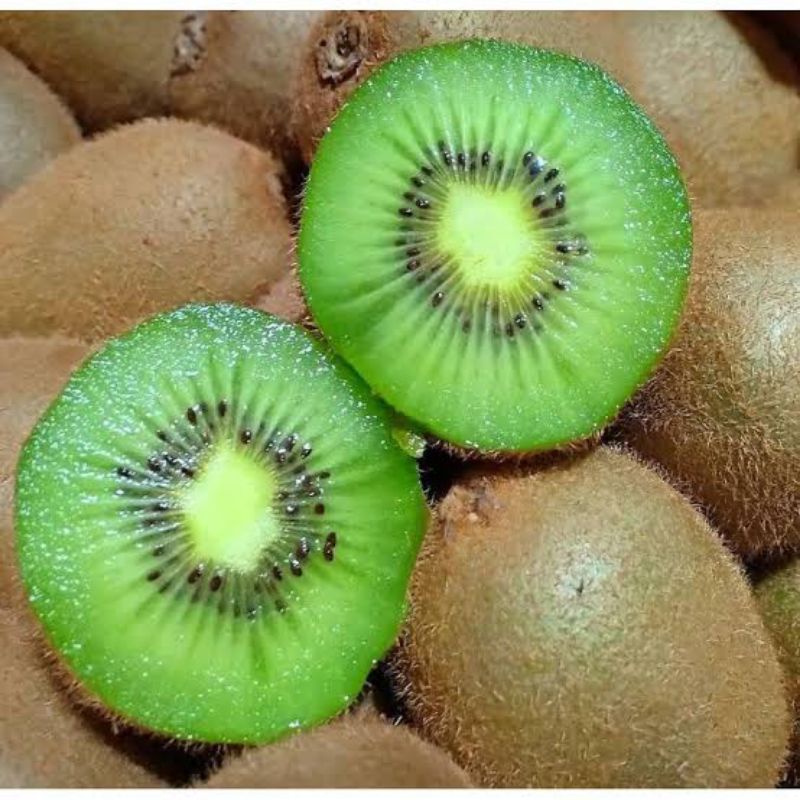 

BSM | TERMURAH Kiwi Hijau Zespri Segar 300gr - 1kg / Kiwi Hijau / Buah Kiwi Hijau Zespri