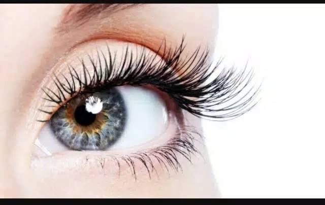 NESURA 3D EYELASH EXTENSION/RUSSIAN EYELASH/EYELASH EXTENSION