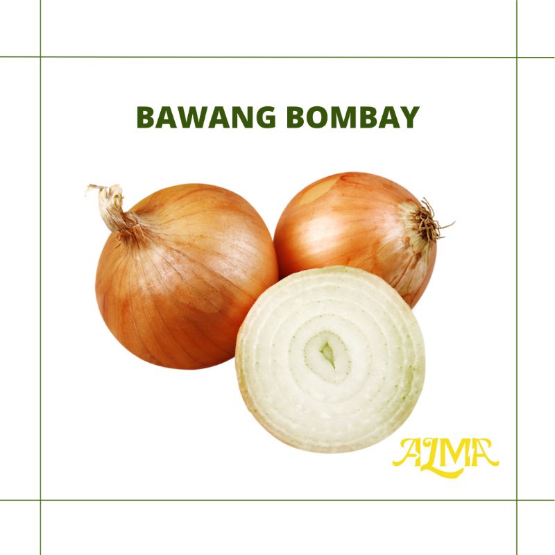 

Bawang Bombay / Sayur / Sayuran Segar