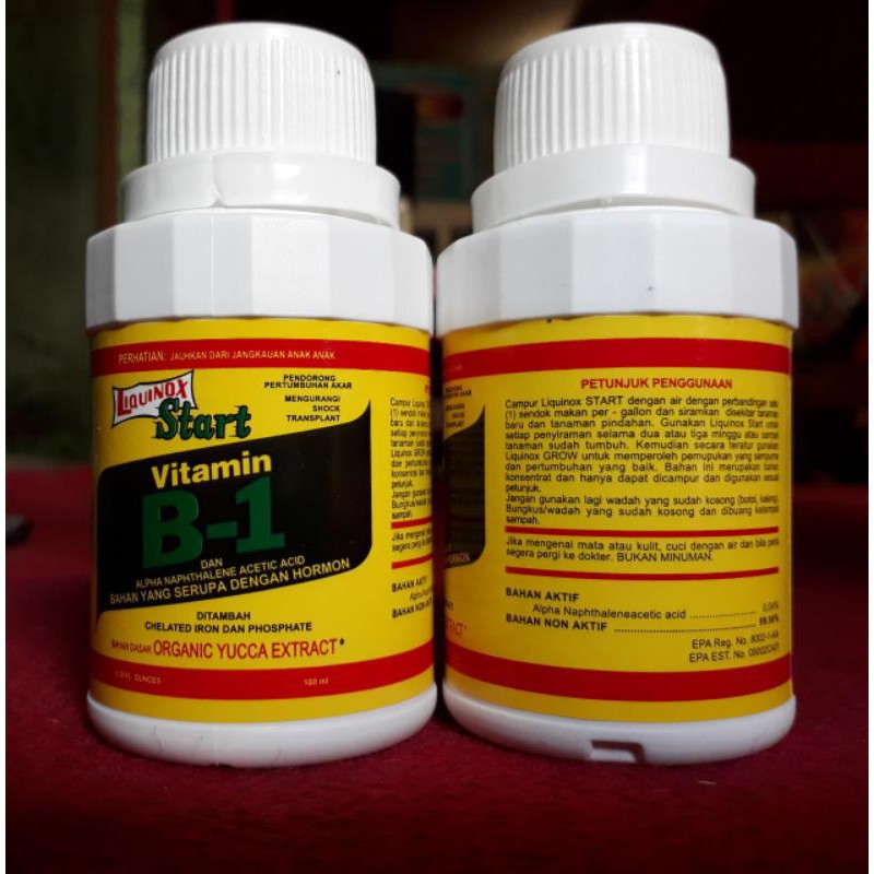 Vitamin B1 Liquinox