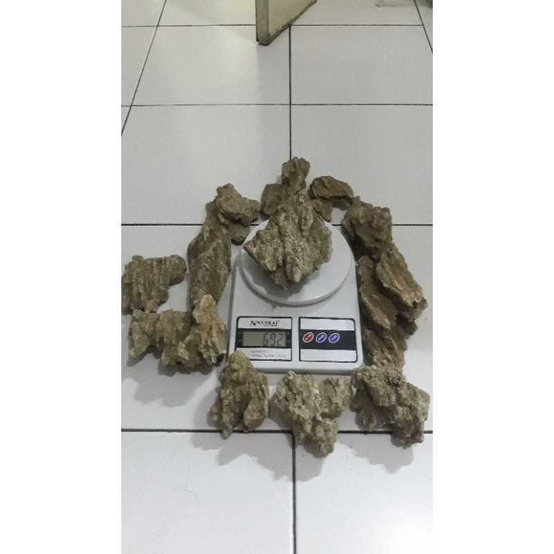 Batu Pasir/Sand Stone Aquascape