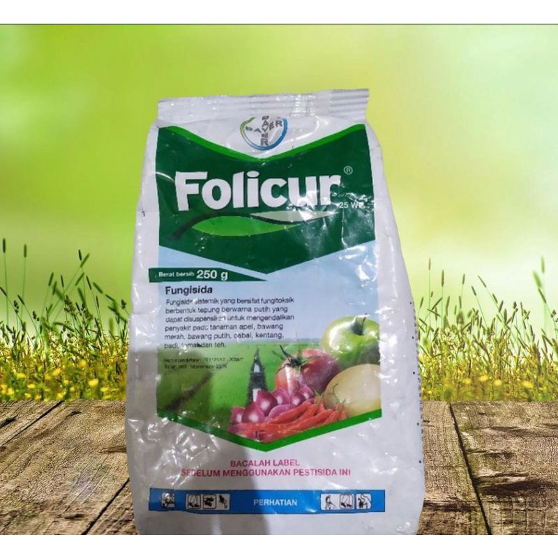 Fungisida Folicur 25wp (250gram)