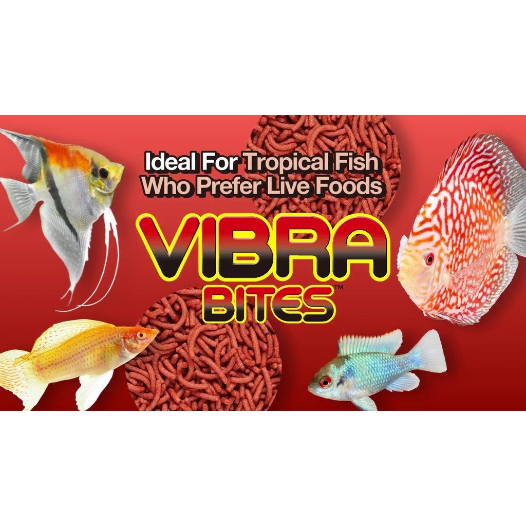HIKARI VIBRA BITES vibrabites pakan makanan ikan hias tropical fish