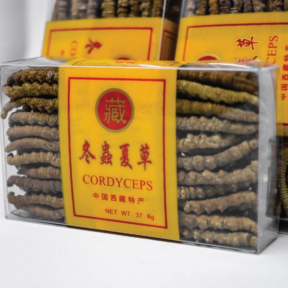 

Herbaleo - Cordyceps Grade A / 一等冬虫夏草 (10 batang)