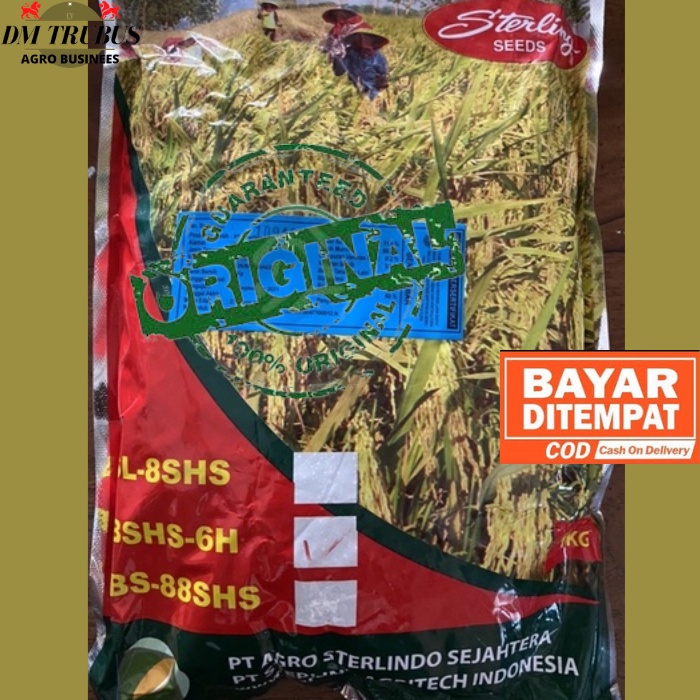 Padi Hibrida BSHS 6H 1 kg