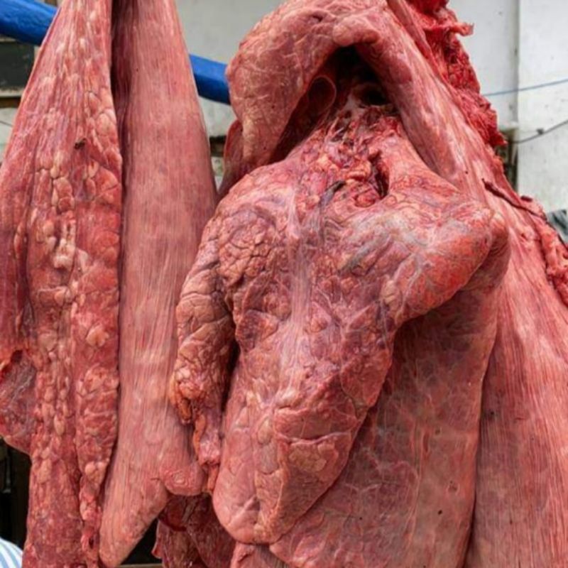 

Paru Sapi Mentah Super Fresh Halal