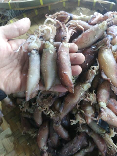 

DISKON TERLARIS!!! CUMI ASIN MEDAN KUALITAS SUPER (1/2KG)