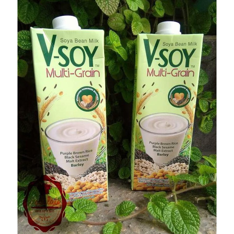 

xldf v-soy multi grain 1000ml hnxs