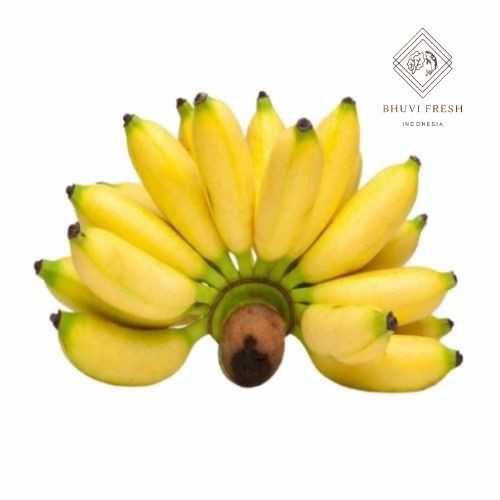 

Pisang Mas 1 Kg Fresh