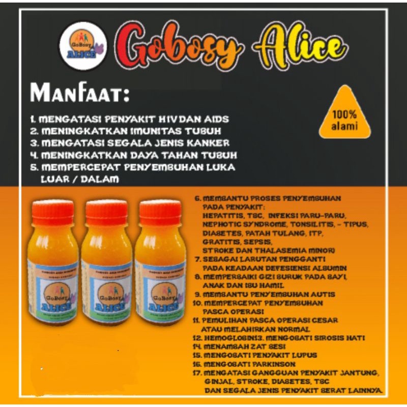 Herbal multi khasiat gobosy alice